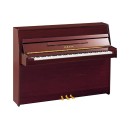 PM - Polish Mahogany 