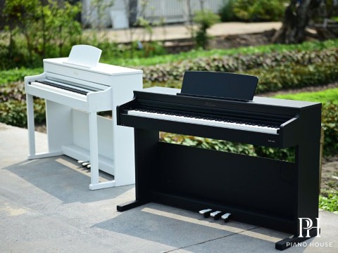 Asahi A201 (Black)