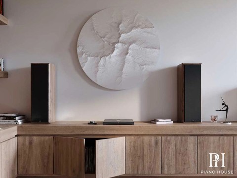 Ampli Devialet Expert 250 Pro
