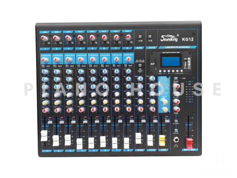 Soundking KG12