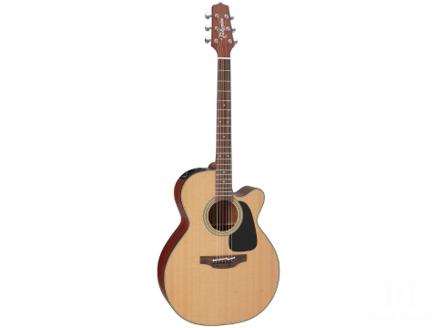 Acoustic Takamine P1NC