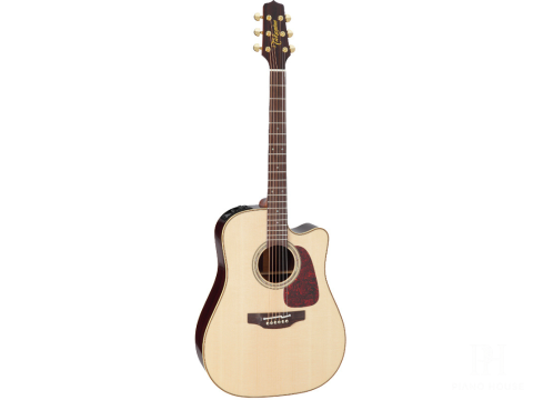 Acoustic Takamine P5DC