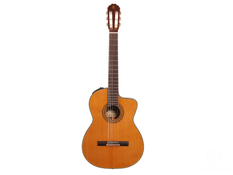 Classic Takamine TC132SC