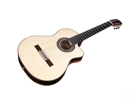 Cordoba 55FCE Negra - Ziricote W/C