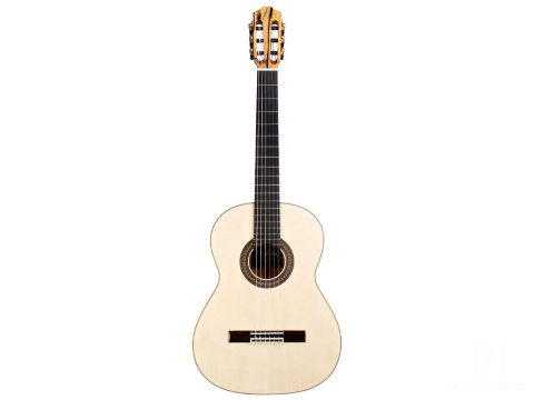 Cordoba 55FCE Negra - Ziricote W/C