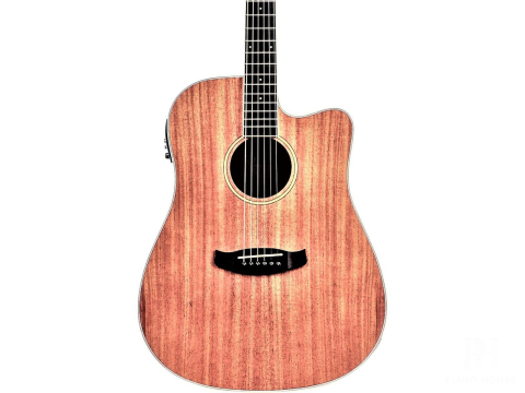 Tanglewood TWU-DCE