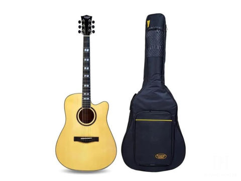 Đàn Guitar Acoustic Sqoe ED29 EQ