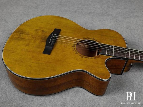 Đàn Guitar Acoustic Sqoe SQ-H-FGS EQ