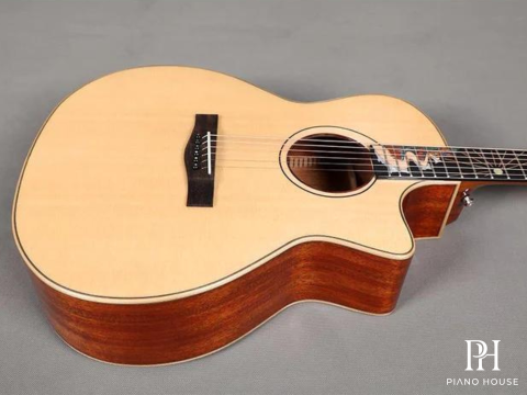 Đàn Guitar Acoustic Sqoe SQ-PFZL EQ