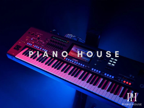 Yamaha PSR SX900