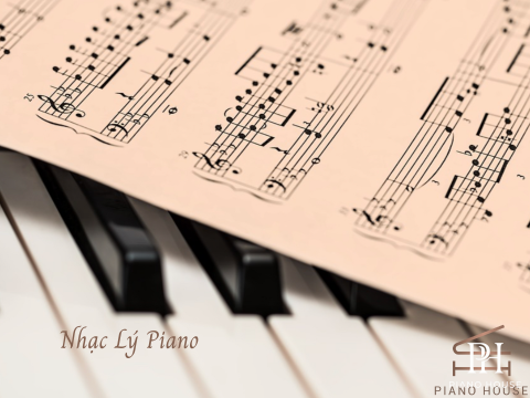 5 Kiến Thức Cốt Lõi Về Nhạc Lý Piano Dành Cho Người Mới Bắt Đầu