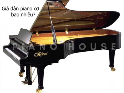 Yếu tố ảnh hưởng đến giá đàn piano cơ
