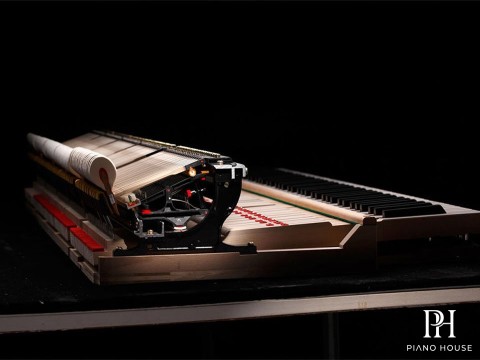 Chi tiết tạo nên GIÁ TRỊ đàn piano cơ Chi tiết tạo nên GIÁ TRỊ đàn piano cơ