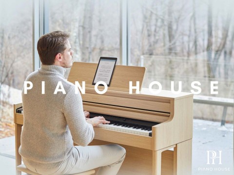 ROLAND HP-704 (USED) Có Tốt Không?