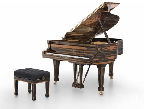 [SPECIAL] FAZIOLI EBONY BLACK & WHITE