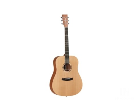 Tanglewood TWR2 D
