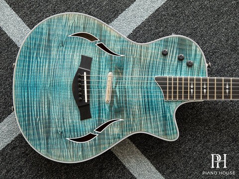 Taylor T5z Pro
