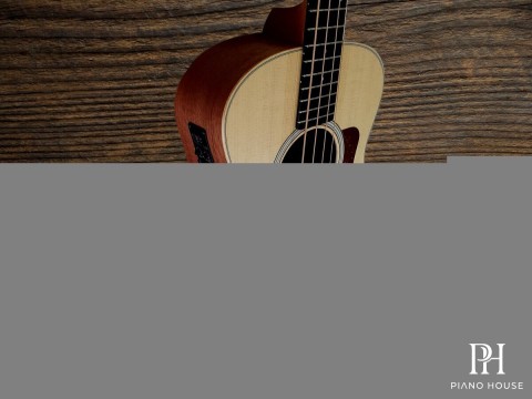 Taylor GSMini-e Bass