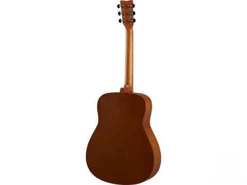 Guitar Acoustic F400