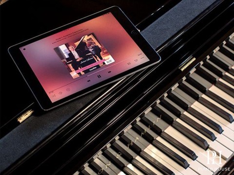 PIANODISC (RECORD + SILENT)