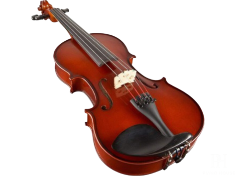 Violin Selmer SR41E1H