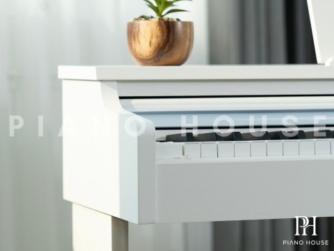 Apollo DP-66 (WH)