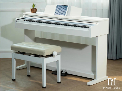 Apollo DP-66 (WH)