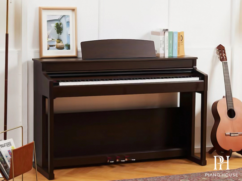 Apollo DP-260 (BR)