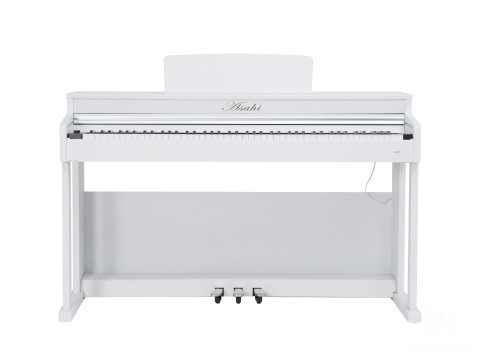 Asahi A202 (White)