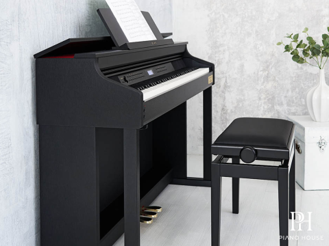 CASIO AP-710