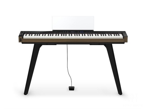 CASIO PX-S6000