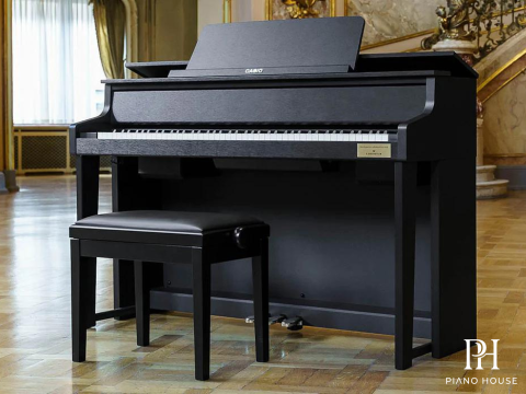 CASIO GP-310 BK (USED)