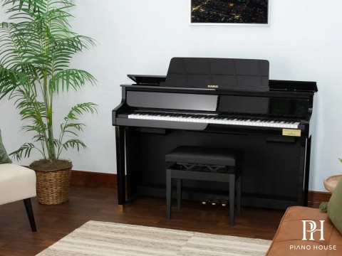 CASIO GP-510