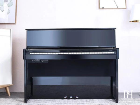 Piano Flykeys FK830