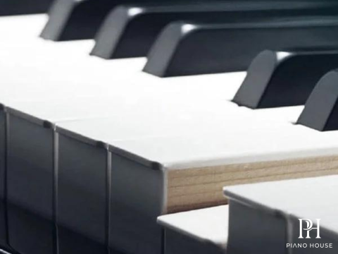 Piano Flykeys FK830
