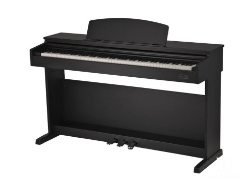 Gewa DP510