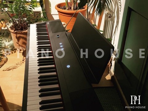 Gewa PP3 (Portable Piano)