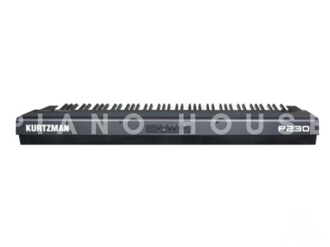 Kurtzman P230