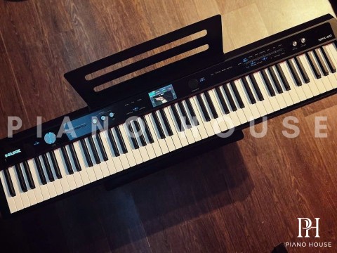 NUX NPK-20 Black (Có chân gỗ)