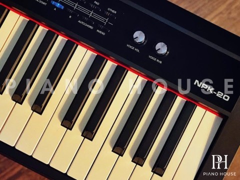 NUX NPK-20 Black (Có chân gỗ)