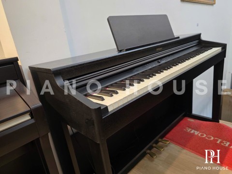 ROLAND RP-701 CB (USED)