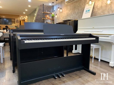 ROLAND RP-102 (Used) Có Tốt Không?