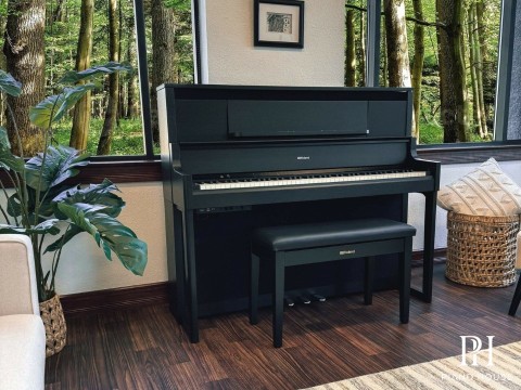 ROLAND LX-9 CB