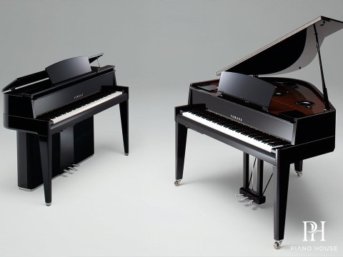 AVANT GRAND N3 (NEW)