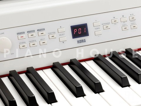 KORG G1B Air (White)