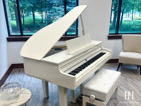 ROLAND GP-607 PW