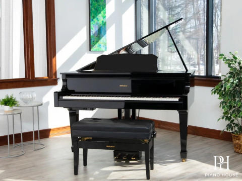 Roland GP-609 PE (USED)