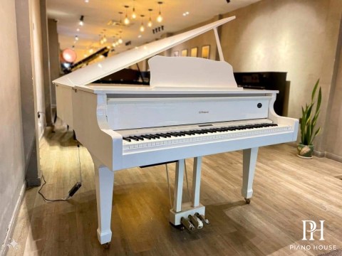 Roland GP-609 PW (USED)