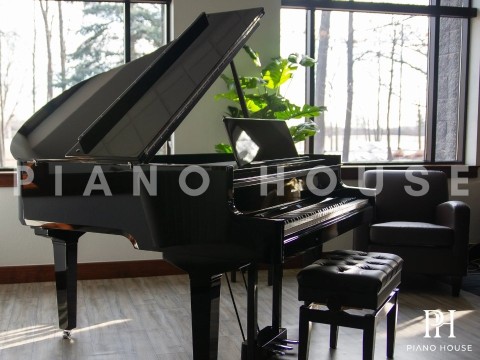ROLAND GP-9M PE
