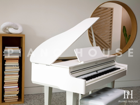 ROLAND GP-6 PW